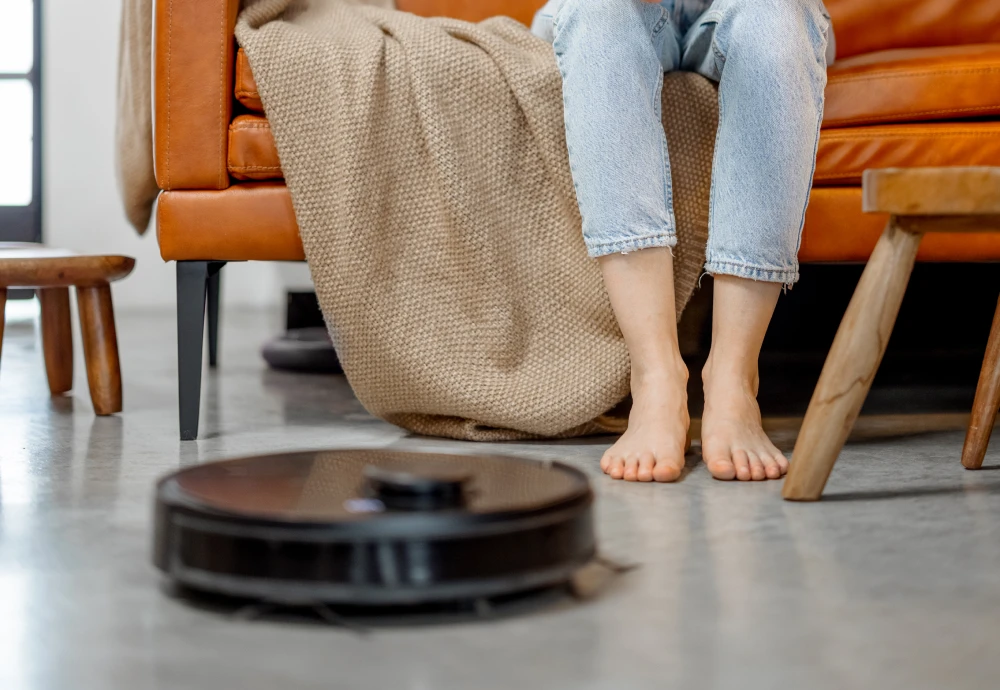 robot vacuum cleaner pet hair